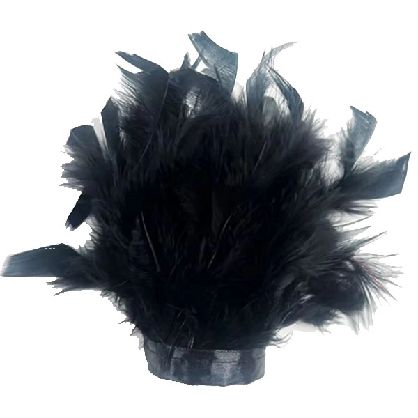 Black feathers for photoshoot