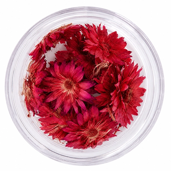 Dried flowers – red