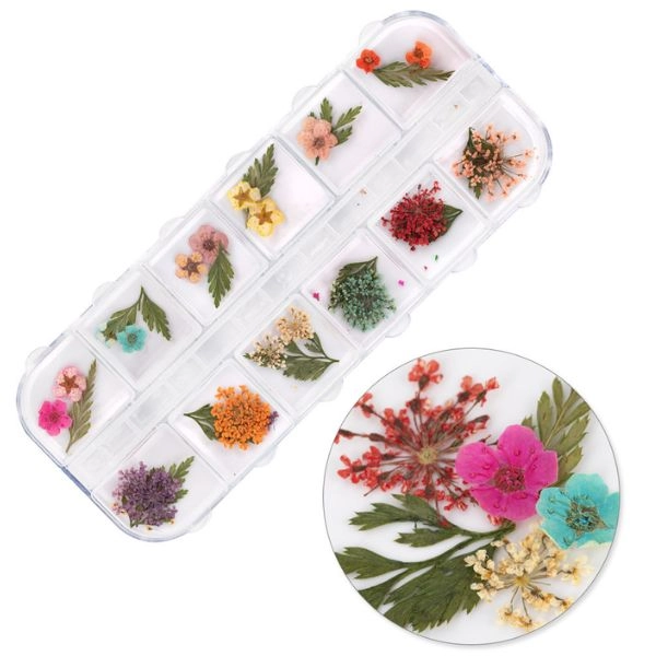 Nail art kit - dried flowers E36, mix
