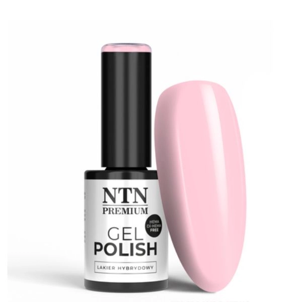 NTN Premium Hybrid Gel polish - Delight Sorbet Collection nr. 148, 5g