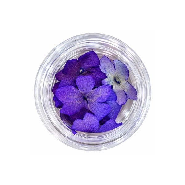 Dried Flowers – Purple-Blue