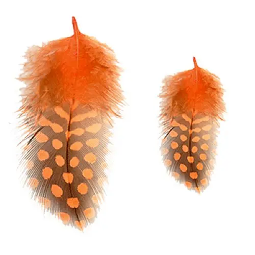 Decorations for nails - orange-black feathers