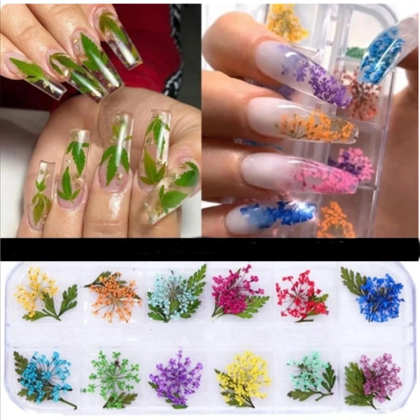 Nail art kit - dried flowers 12x5g