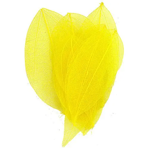 Decorative dried leaves – yellow