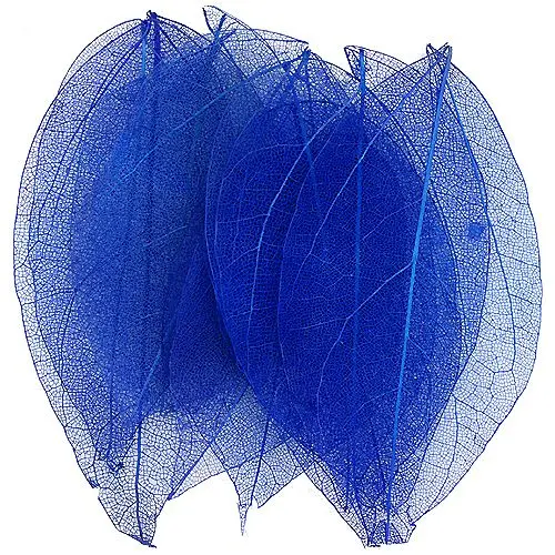 Dried leaves – dark blue