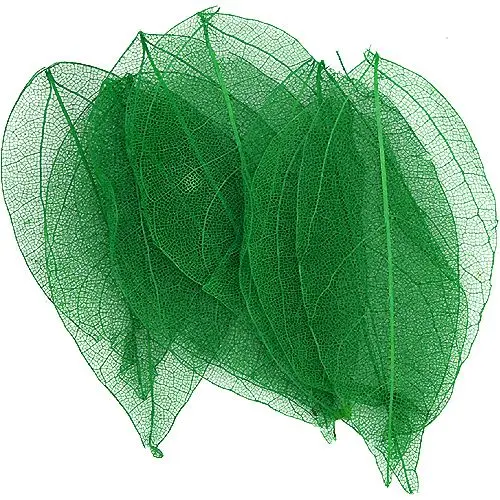 Dried leaves – dark green