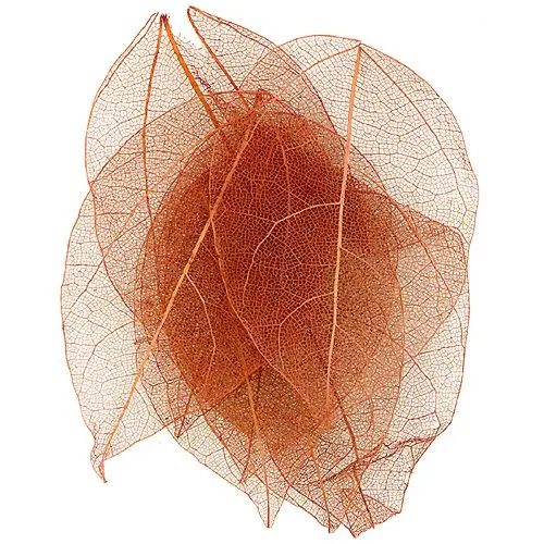 Nail art dried leaves – brown